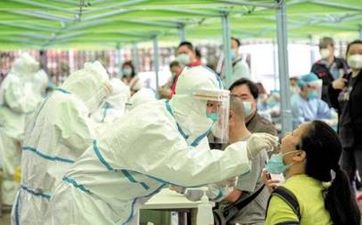 財位放什麼植物比較好 財位上適合放什麼植物