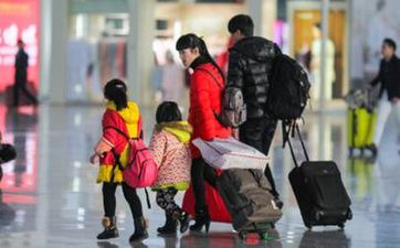 夜間開車撞死野兔怎麼辦 五帝錢八卦葫蘆