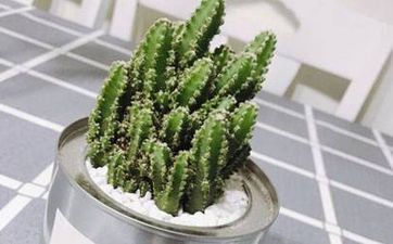 東邊的窗戶幾個方面沒太陽 窗戶在東邊有陽光嗎