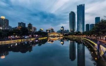 竹子開花是什麼徵兆 夏威夷竹子開花是什麼徵兆
