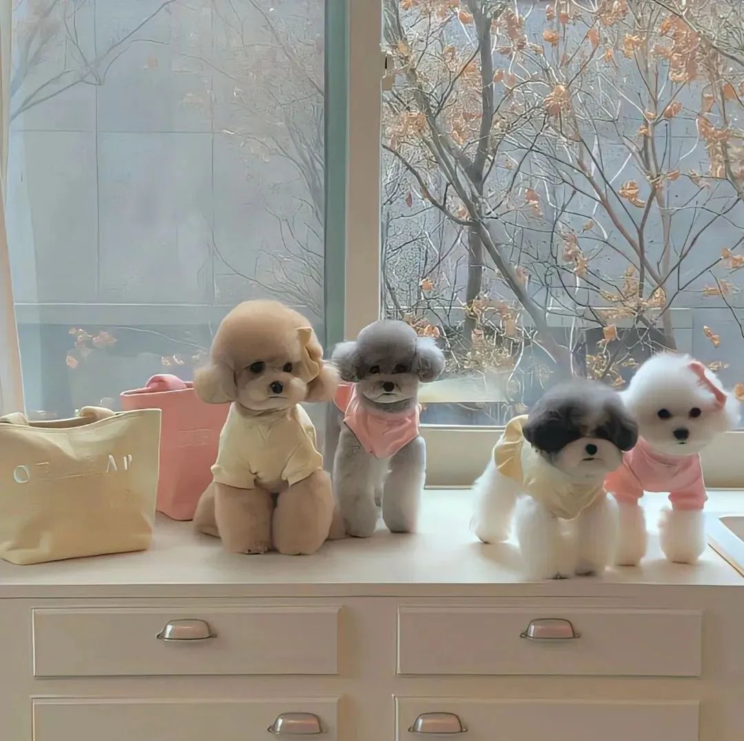 最喜歡玩曖昧的星座！