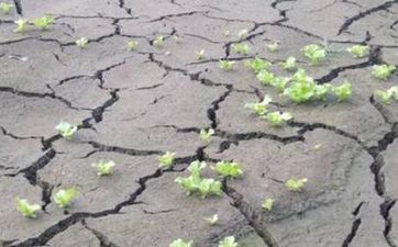 哪些房子風水不好,房子風水不好又該如何化解