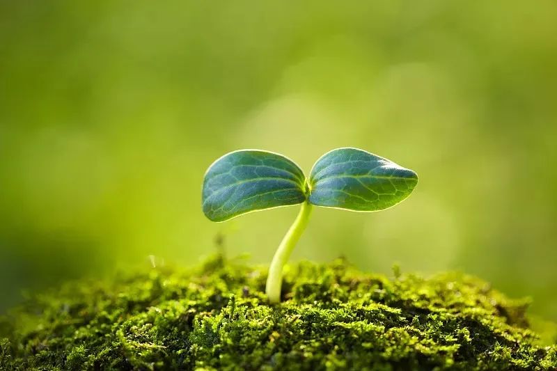 克莉絲汀星座雙週運3.15-3.29