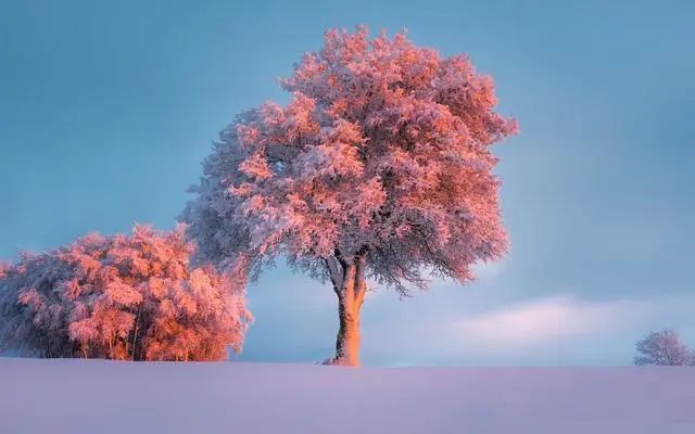 謀略最深的三個星座，目光深邃有力，內心睿智清醒，最難讓人打敗