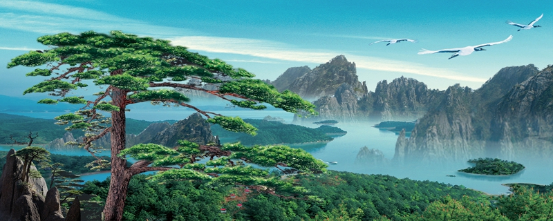 為什麼本命年桃花特別旺 可以佩戴水晶化解爛桃花