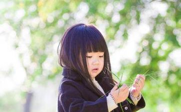 房間里掛貓的畫有什麼講究?什麼是最吉利的畫?